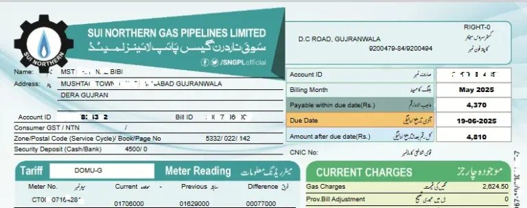 SSGC Duplicate Bill Online Check January 2026